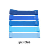 Premium Resistance Bands Set – Full-Body Strength & Toning Workout (5 Colors, TPE)