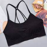 Seamless Sports Crop Top – Wide Strap Yoga & Fitness Bra