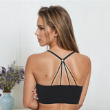 Seamless Sports Crop Top – Wide Strap Yoga & Fitness Bra